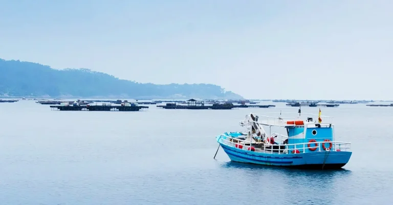 El espectacular regreso del atún a Dinamarca